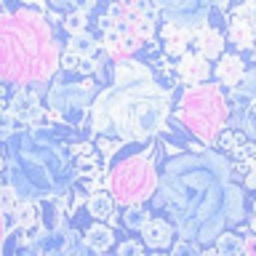 Meet your Posher, Vianey